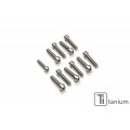 CNC Racing Titanium Bolt kit for CNC's Triples for the Hypermotard 821 / 939 / 950 models (PS523B and PS535B) CNC Racing Titanium Bolt kit for CNC's Triples for the Hypermotard 821 / 939 / 950 models (PS523B and PS535B)